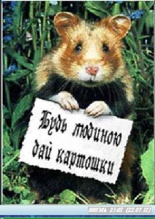 Прикольная