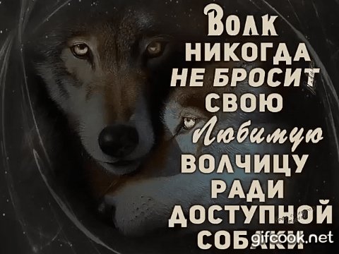 file_69237878
