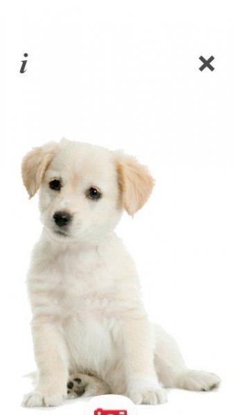 puppy-talk-v-1-011