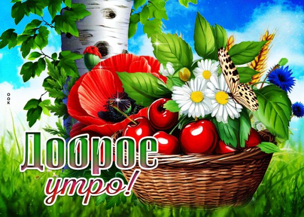 Доброе утро!