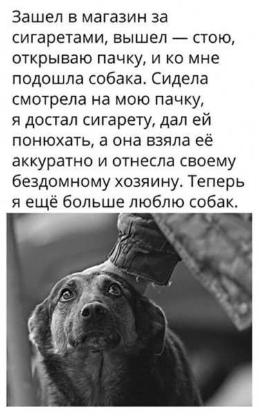 file_81062276