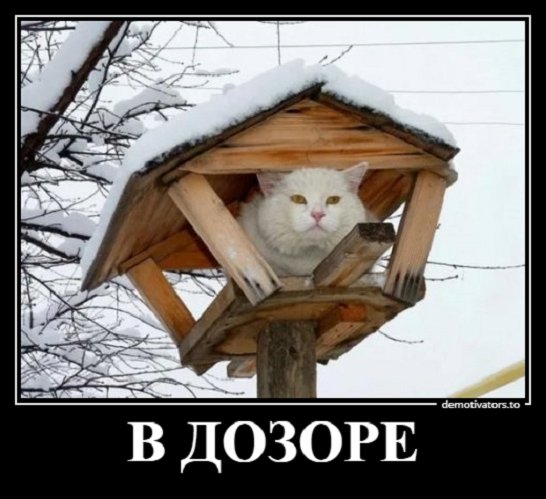 В дозоре