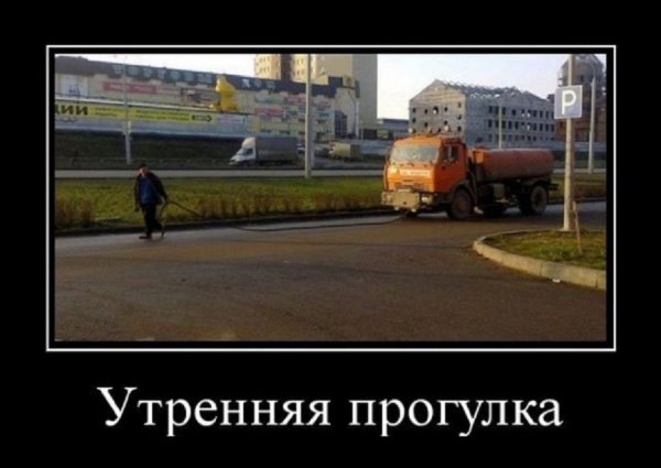 Утренняя прогулка