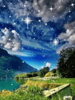 file_66558206