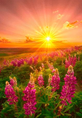 file_76462419