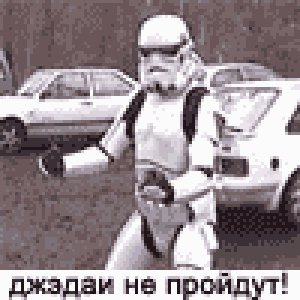 Modling Article