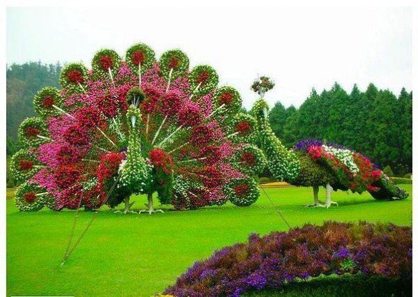 getImage29