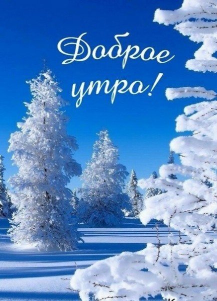 file_95627847