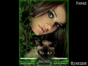 eyesofacat