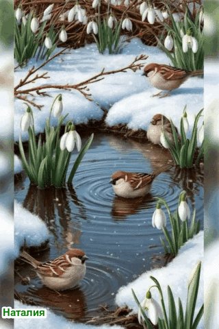 file_102406419