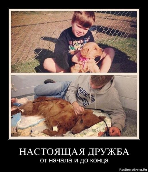 Настоящая дружба