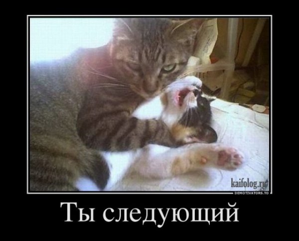 file_64843367