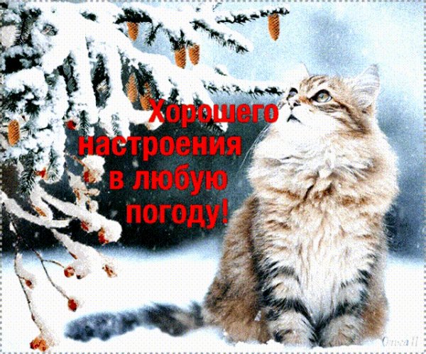 file_79952440