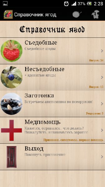 справочник ягод