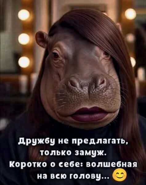 FB IMG 1778184865780