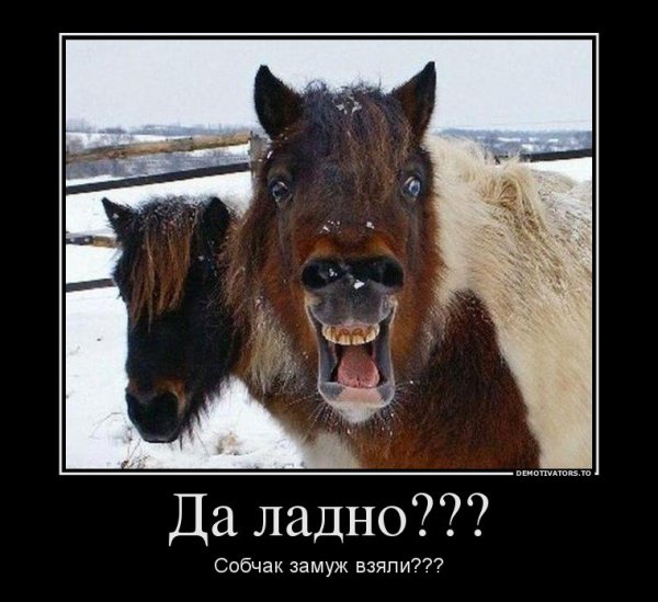 qmbyZPQzyO8