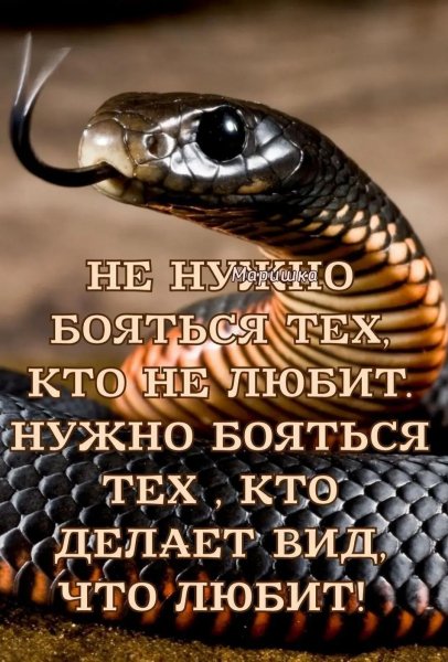 Img 6 1778121249897