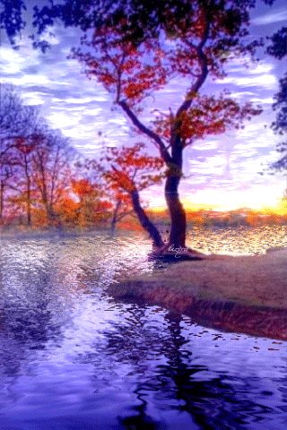 file_46988468
