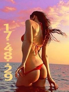 file_71919025
