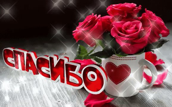 IMG 20200804 170759