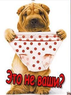 Это не ваши? Анимашка Фл.1.1