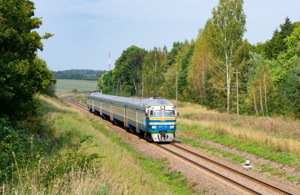 file_102551869