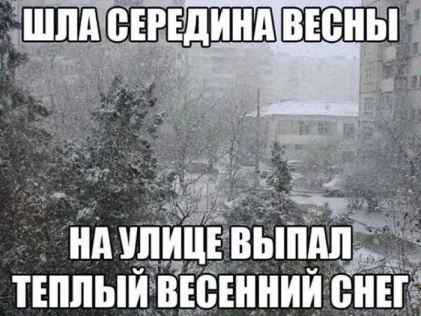 file_102375136
