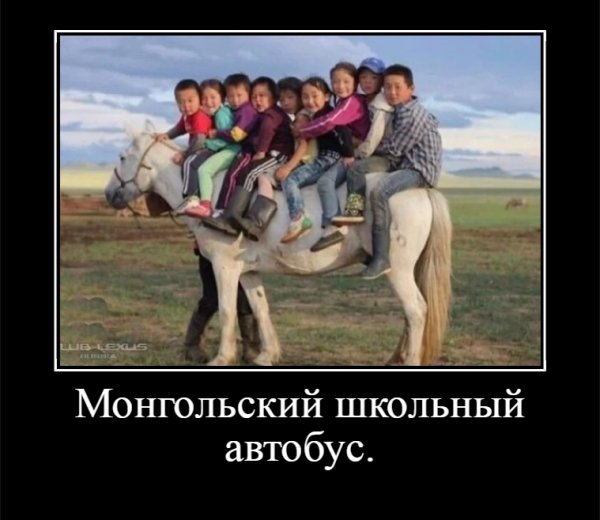 Монгольский школьный автобус