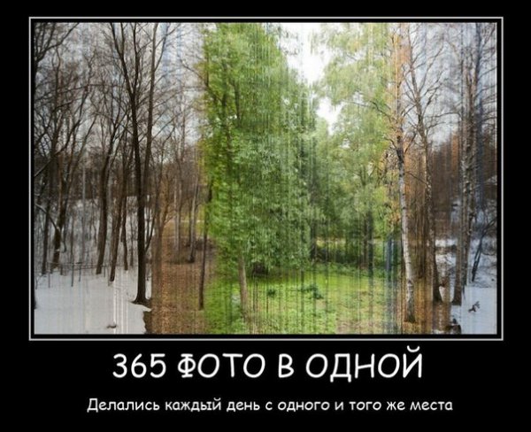 s6742 1539981080