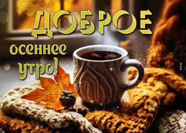 file_98889576