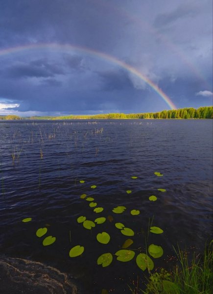 file_102763910