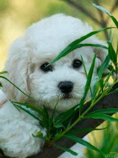 file_57302287