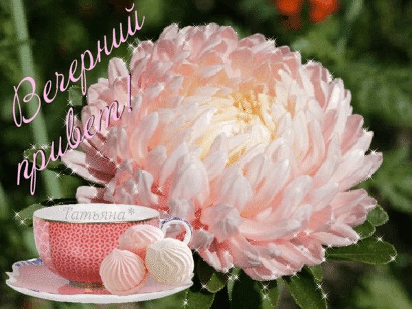 вечерний привет 000122