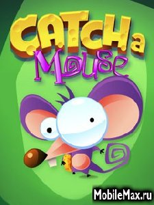 catcha mouse