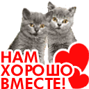 file_81848644