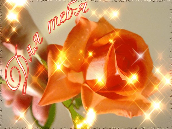 IMG 20171112 165141 50