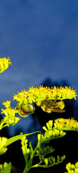 IMG 20260820 233219