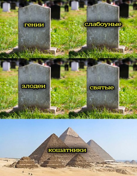 FB IMG 1776885642070