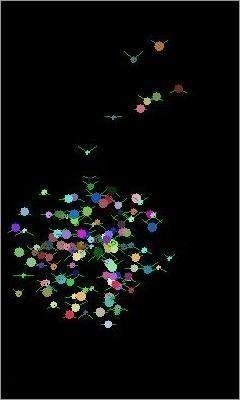 Flies