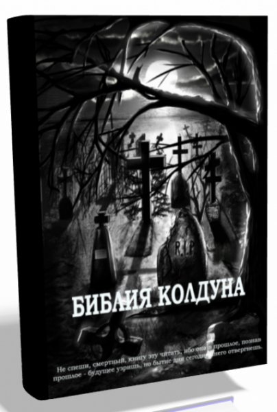 Быковский С. В. - Библия колдуна
