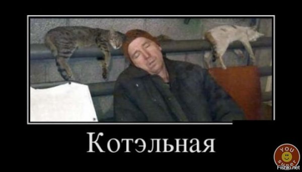 дем