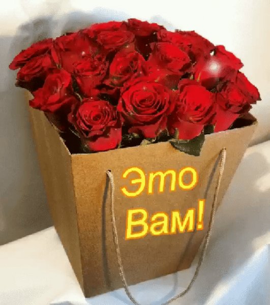 IMG 20220208 213401