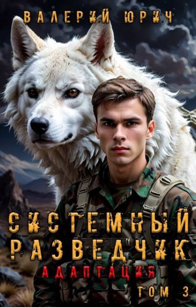 Валерий Юрич Системный разведчик. Адаптация. Том 3