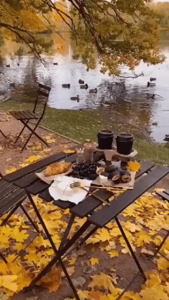 file_97620765