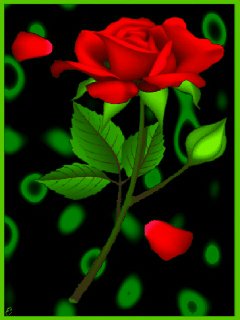 file_74140696