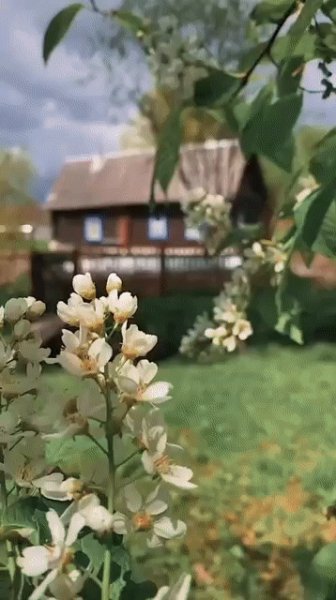 Всё обойдется..