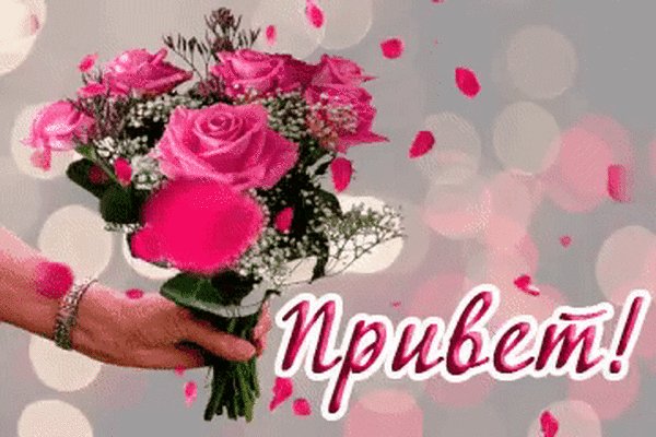 Анимированная открытка привет (1)