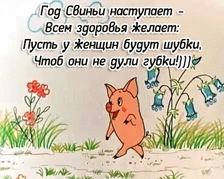 пожелание