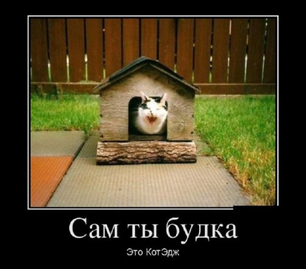 Сам ты будка...