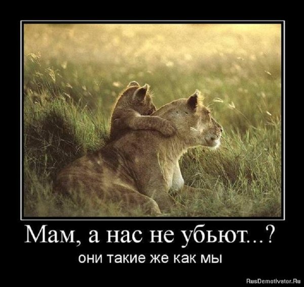 Мам, а нас не убъёт...